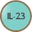 IL-23
