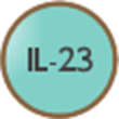 IL-12/23阻害薬<br>IL23-p19阻害薬
